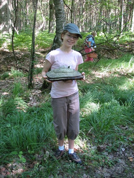 2009 07 Myco Gros taillis 05